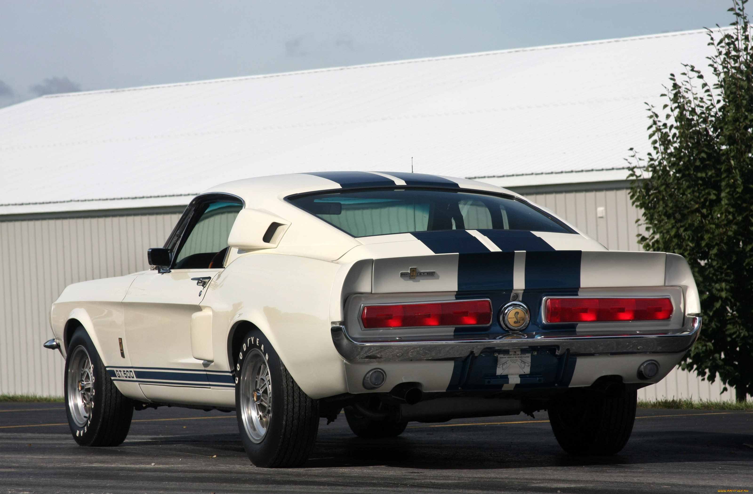 , mustang, gt